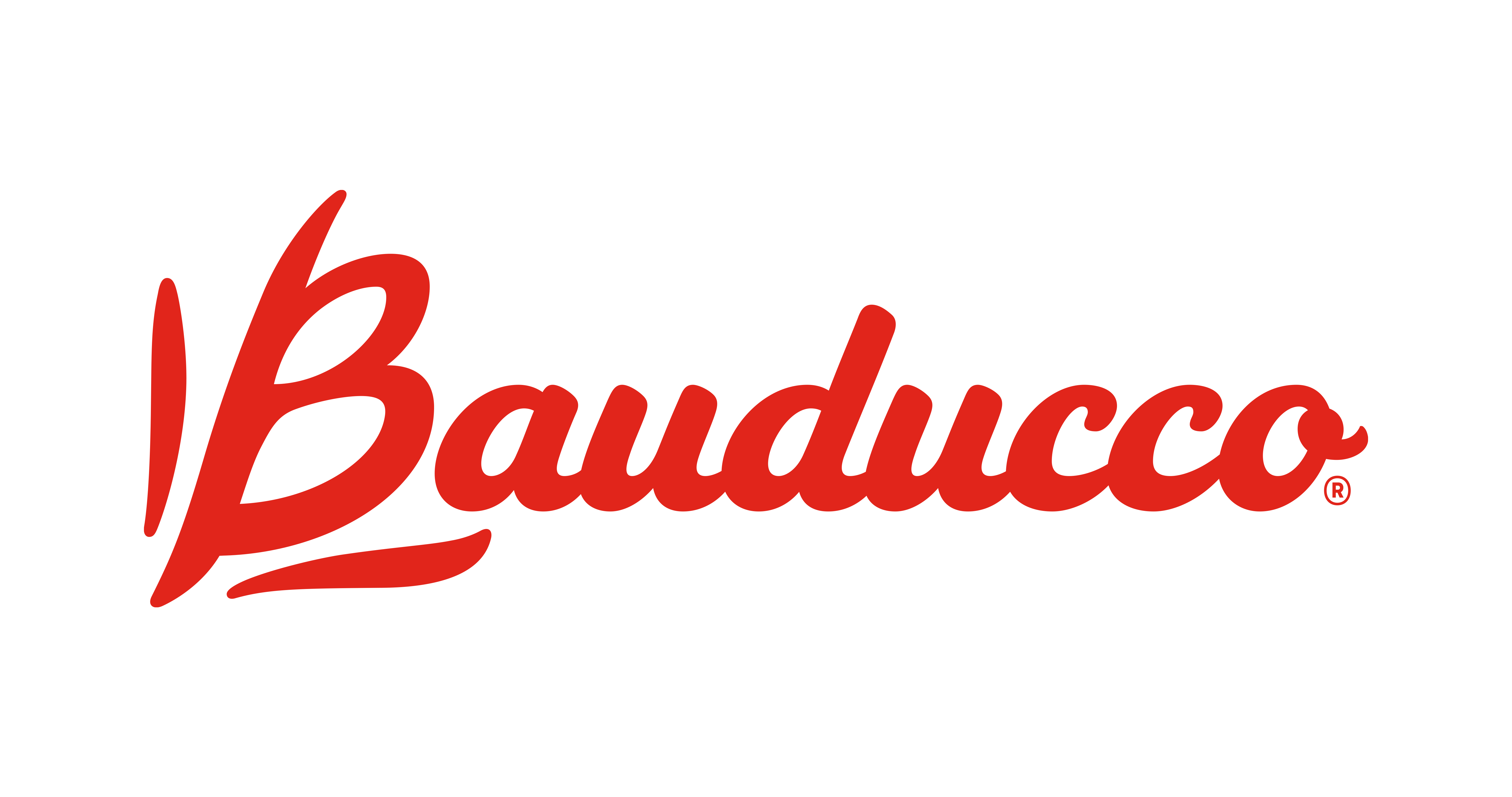 Bauducco
