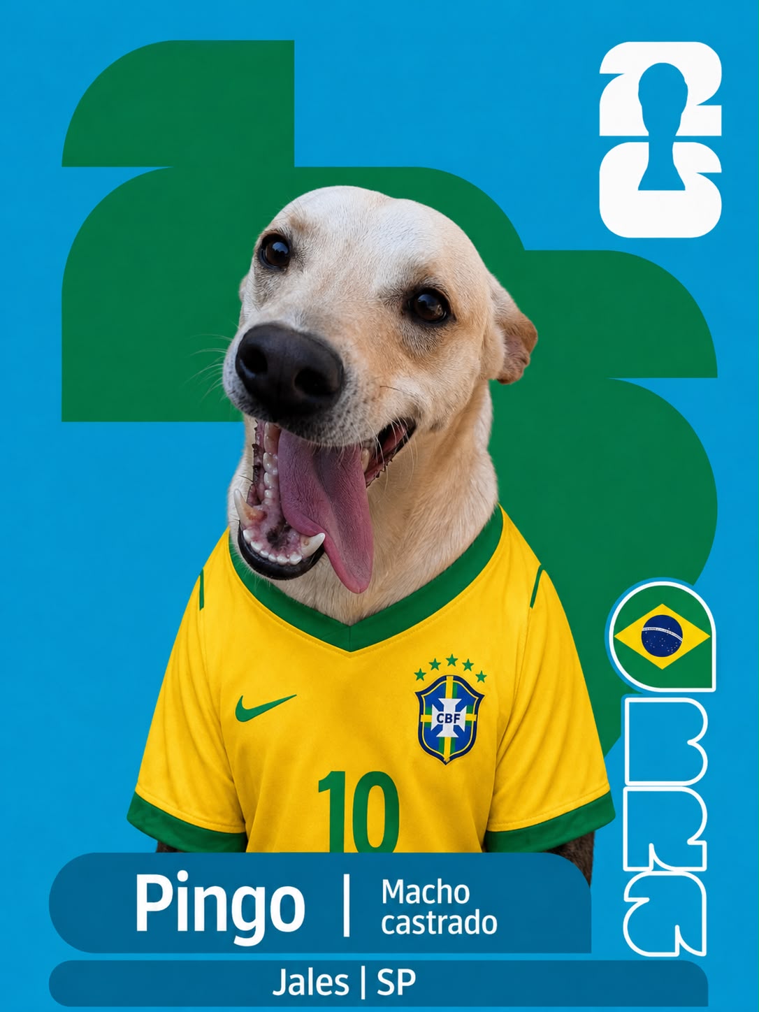 Adote um Cape&atilde;o 10