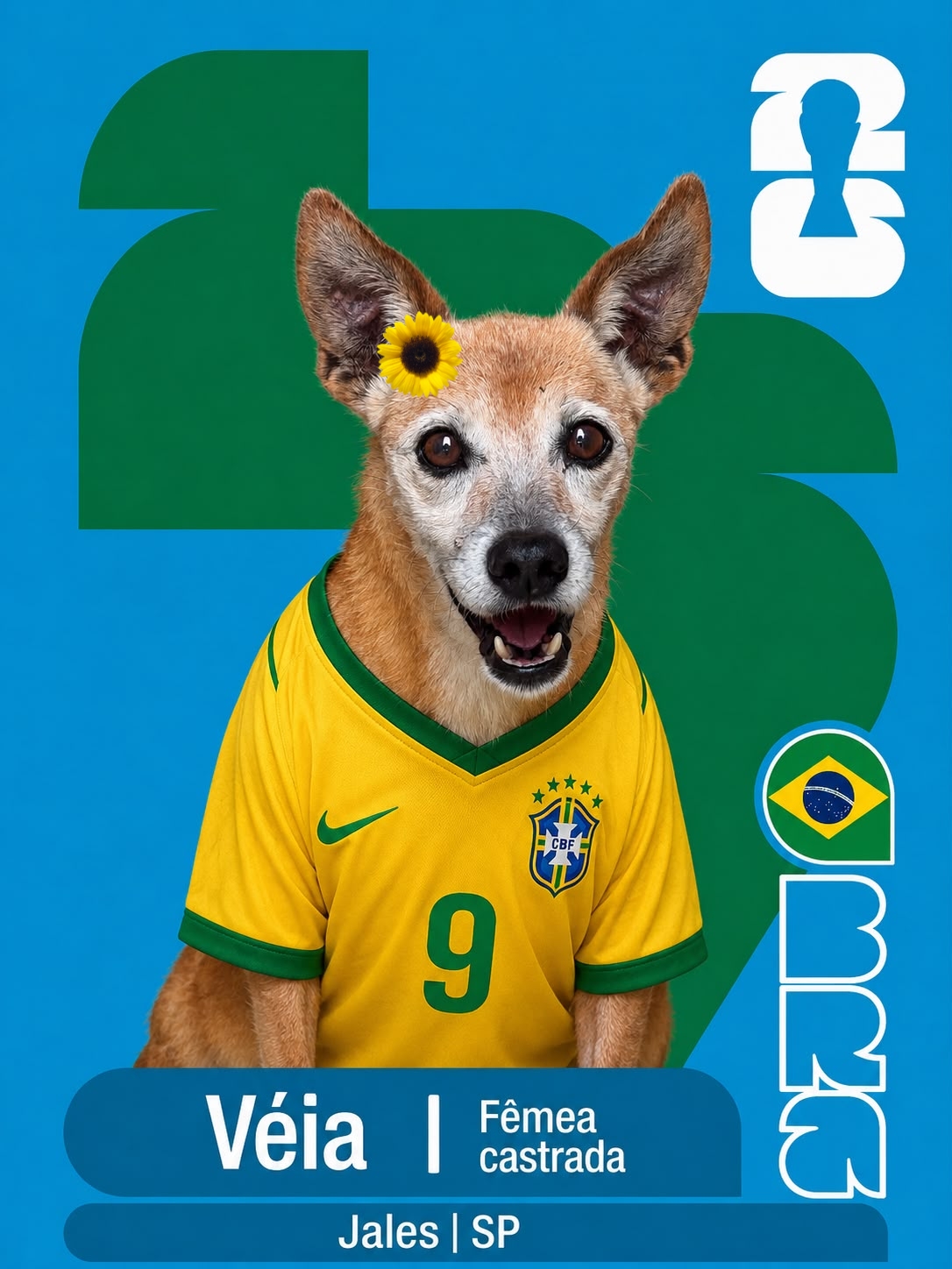 Adote um Cape&atilde;o 09