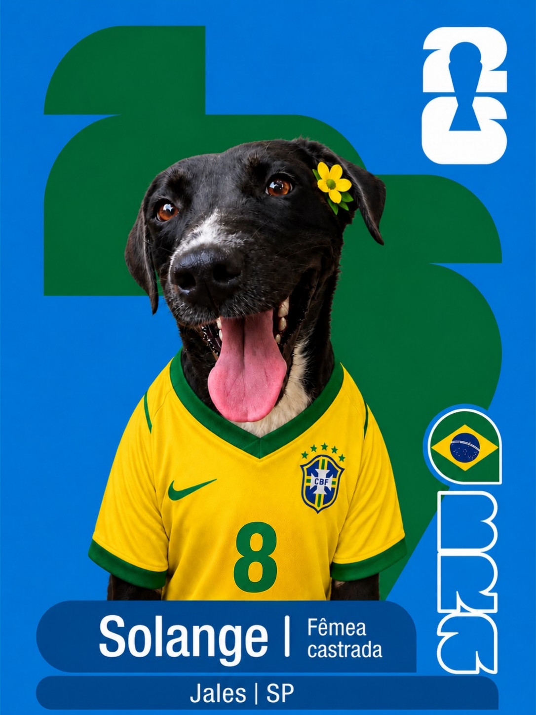 Adote um Cape&atilde;o 08