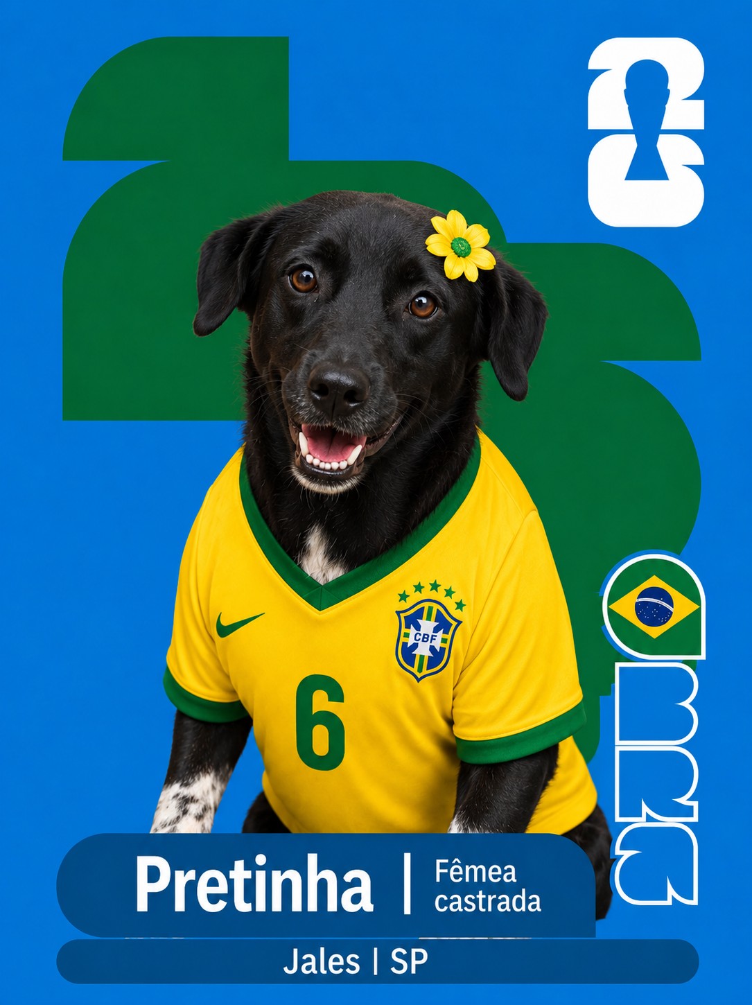 Adote um Cape&atilde;o 06