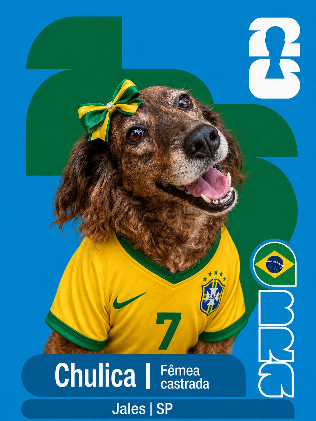 Adote um Cape&atilde;o 07