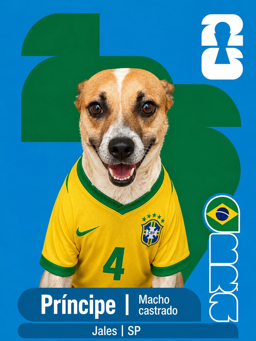 Adote um Cape&atilde;o 04