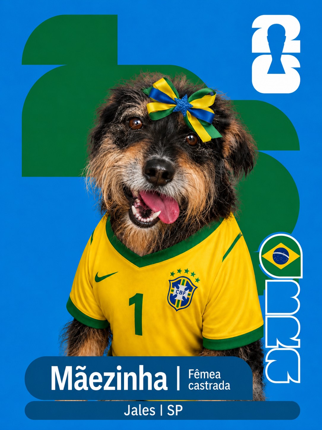 Adote um Cape&atilde;o 01