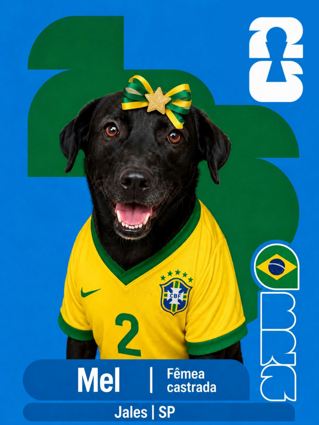Adote um Cape&atilde;o 02