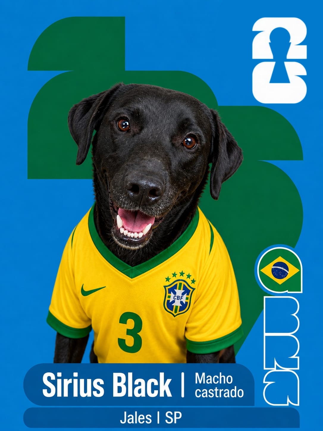 Adote um Cape&atilde;o 03