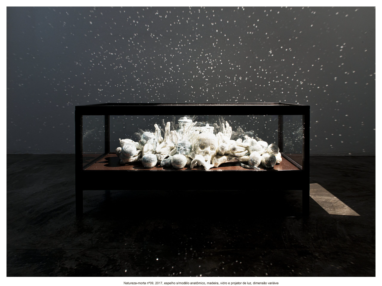 ALBANO_AFONSO_NATUREZA_MORTA_1-scaled