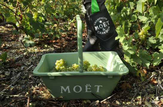 
Moët & Chandon se mantém como a marca mais valiosa de vinhos