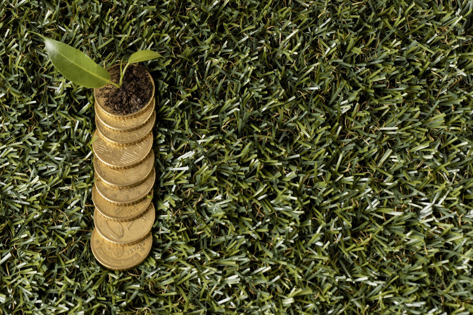 top-view-coins-grass-with-plant-copy-space