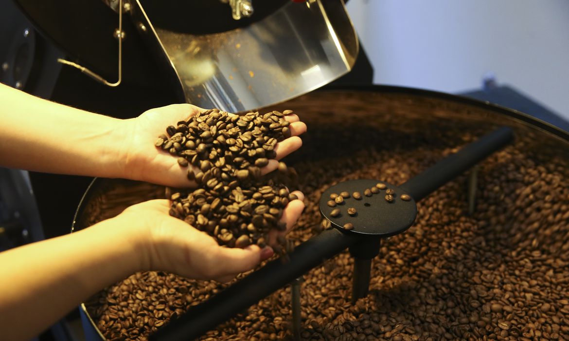 Produtividade da lavoura de café cresce em dez anos aponta Fiesp Robb Report Brasil