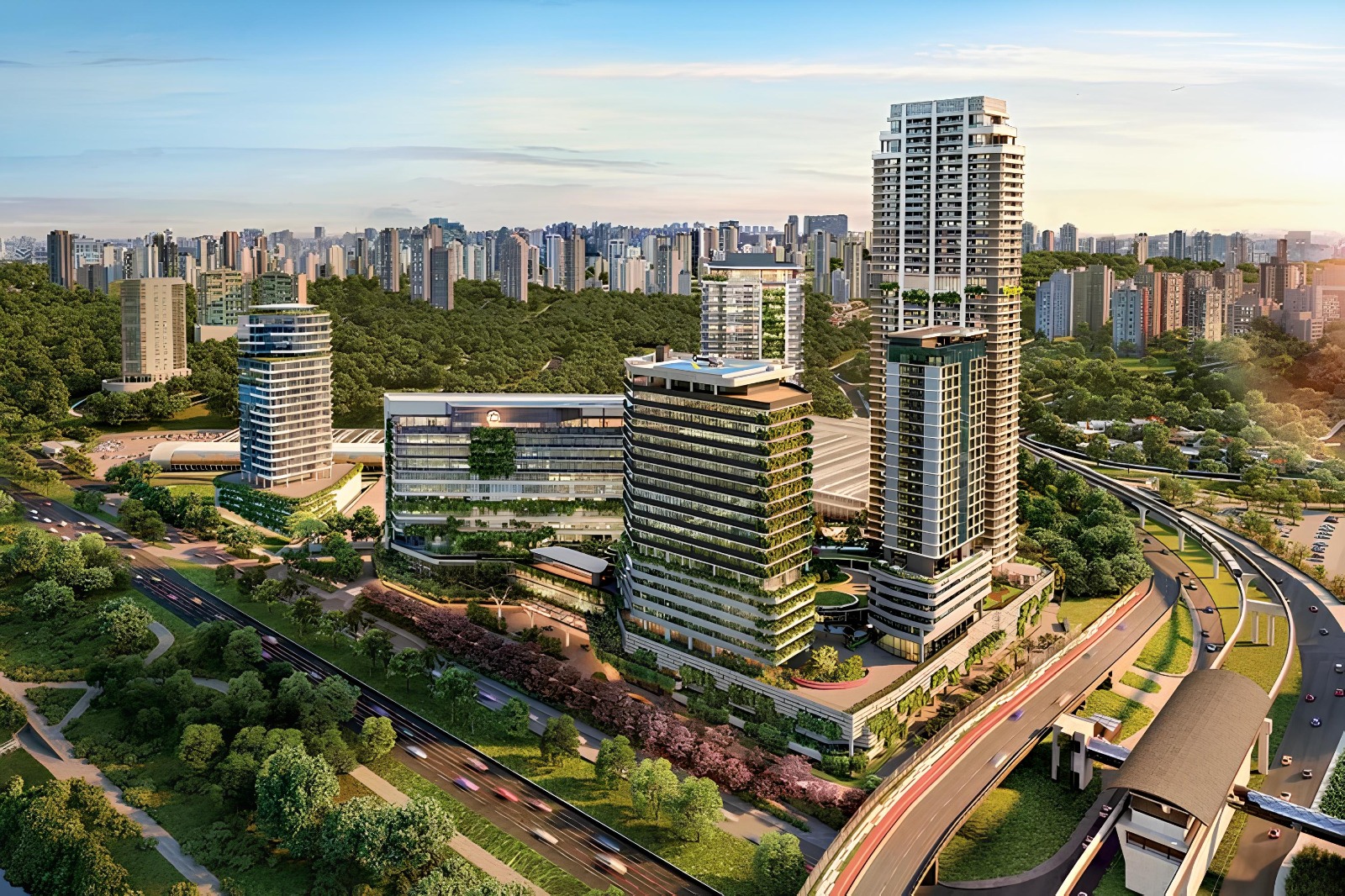 WhatsApp Image 2026-02-13 at 16.19.09