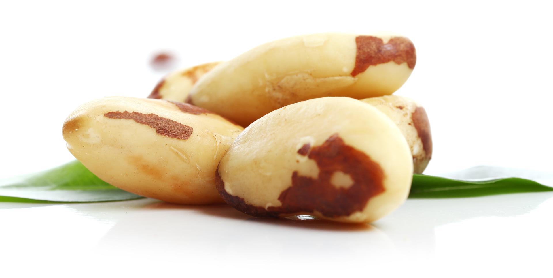 close-up-fresh-brazil-nuts