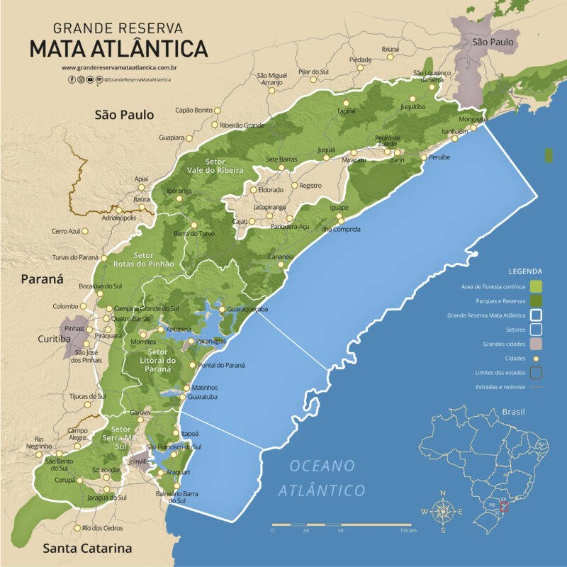 MATA ATLÂNTICA