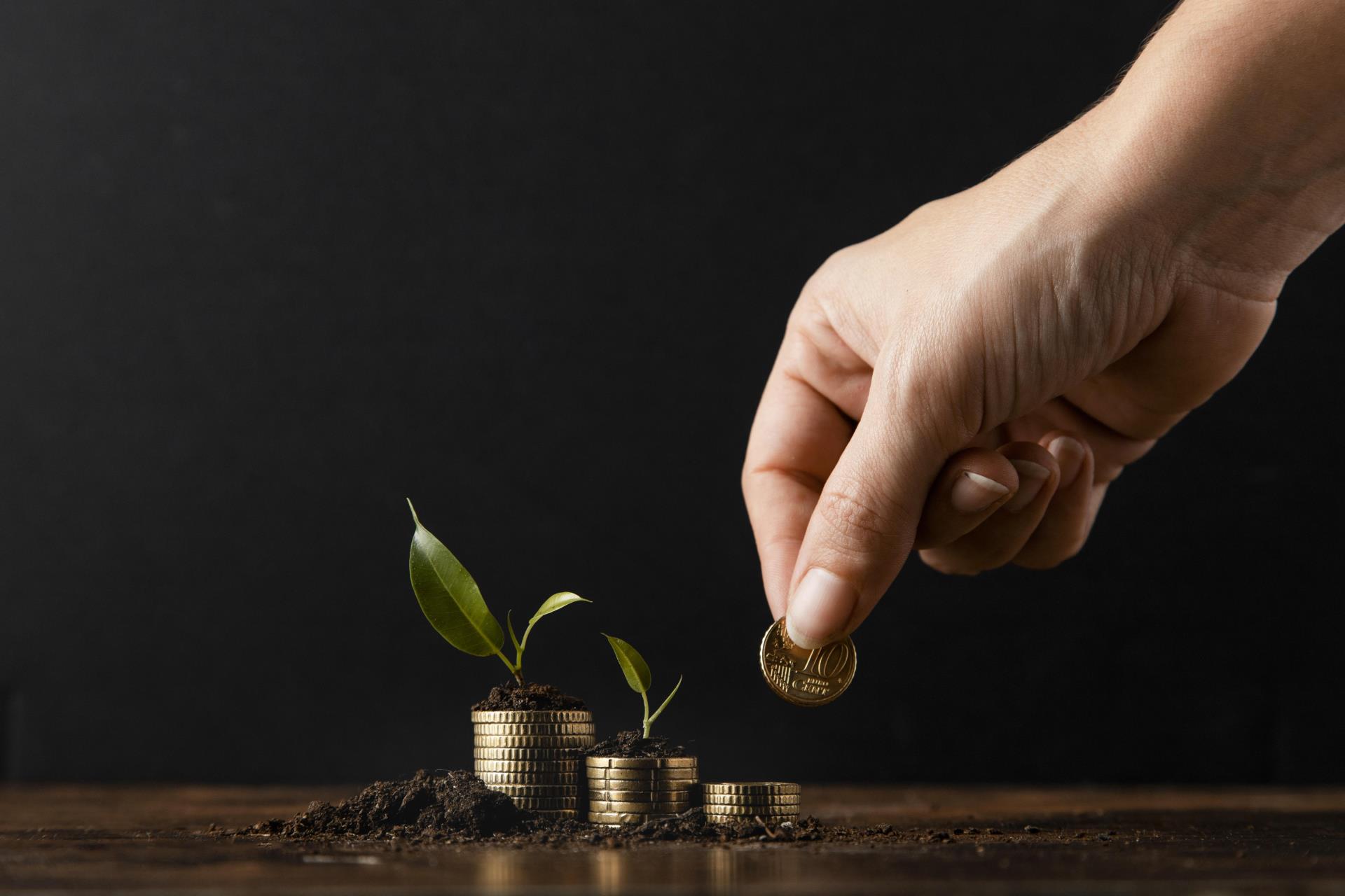 hand-adding-coins-stack-covered-dirt-plants