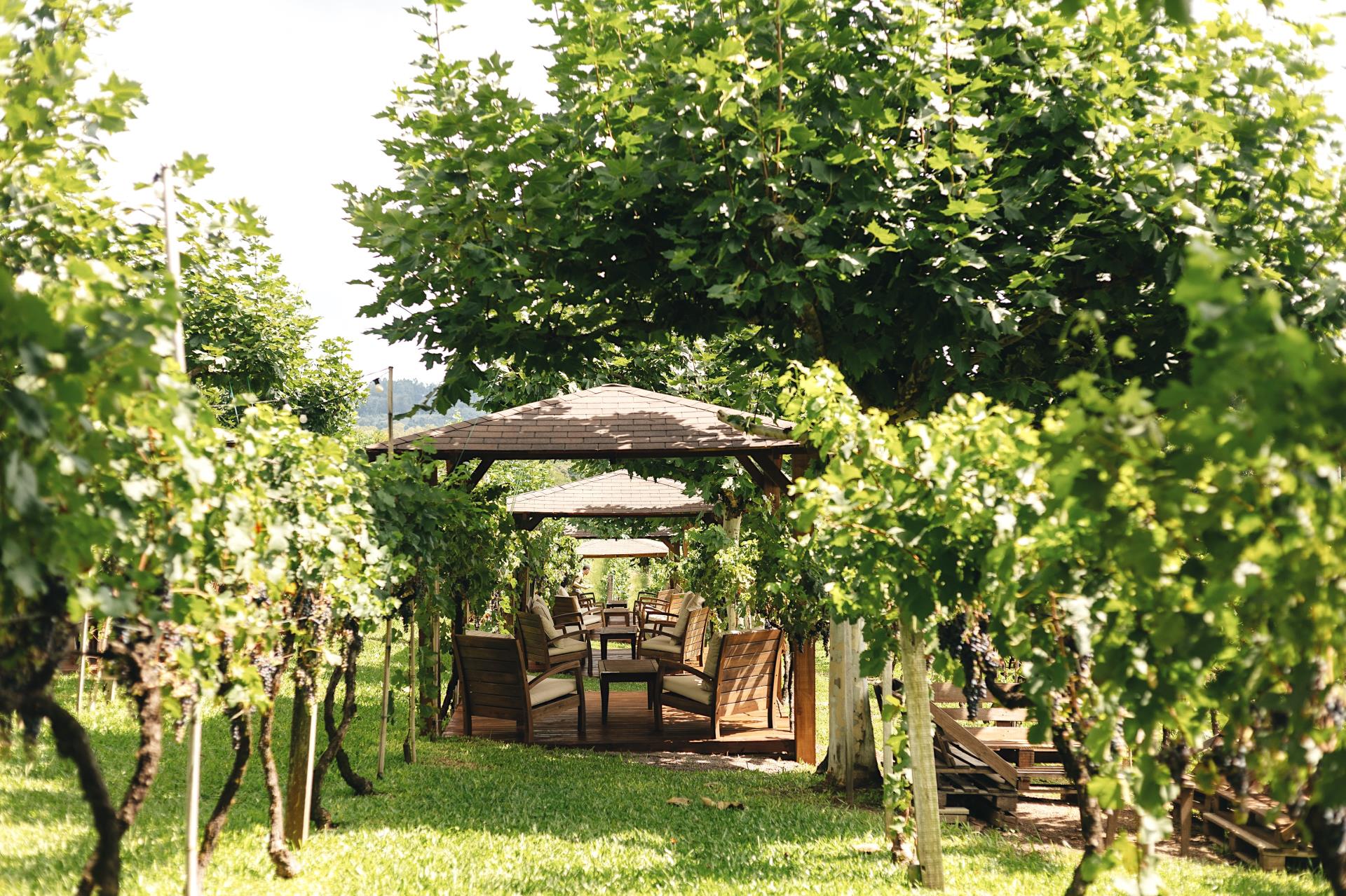 401b84da-98e0-4695-abe7-18dc90e151eb