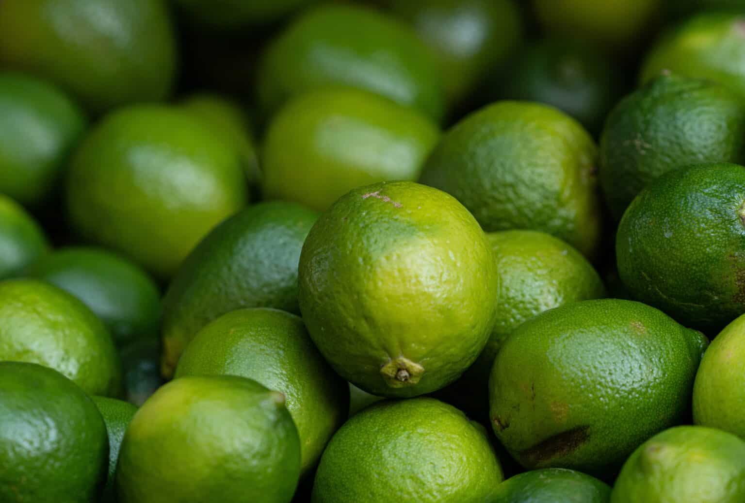 1 - O limão usado no preparo do remédio caseiro era o tahiti, cultivado em São Paulo. - Foto de Lars H Knudsen no Pexels