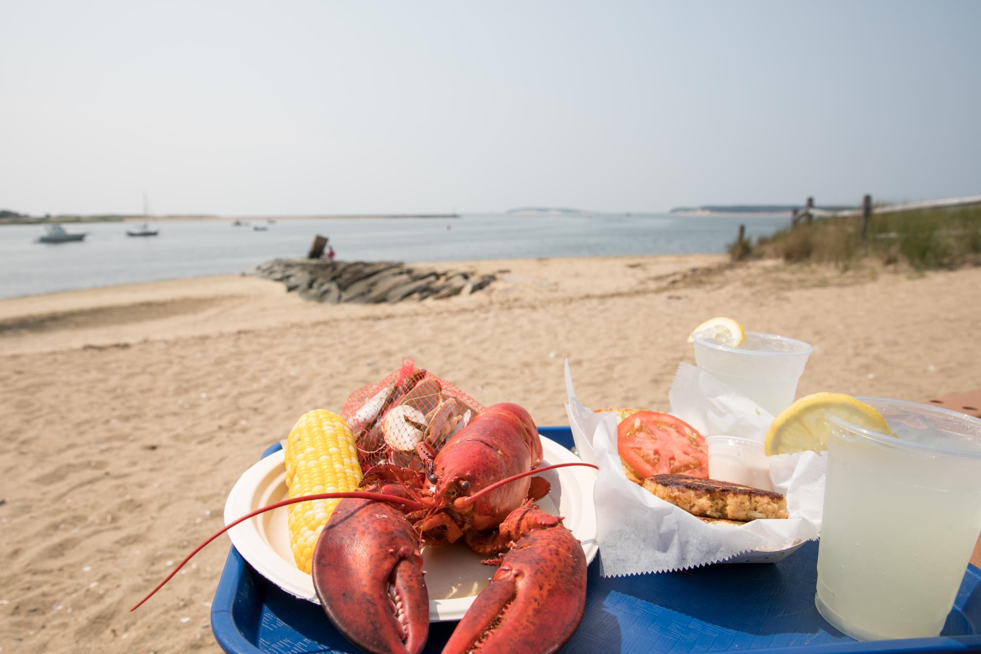 CapeCod_Massachusetts_Point7LabsPhotoShoot2_2018_17