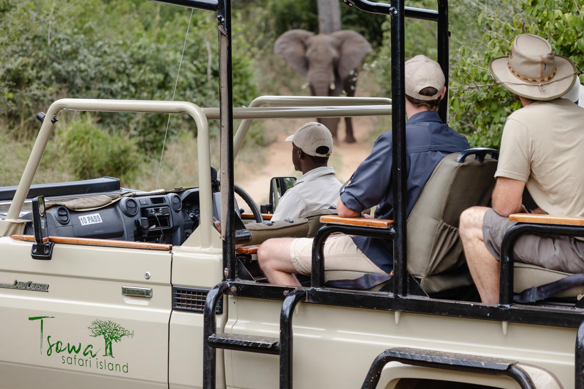 Tsowa Safari Island(11)