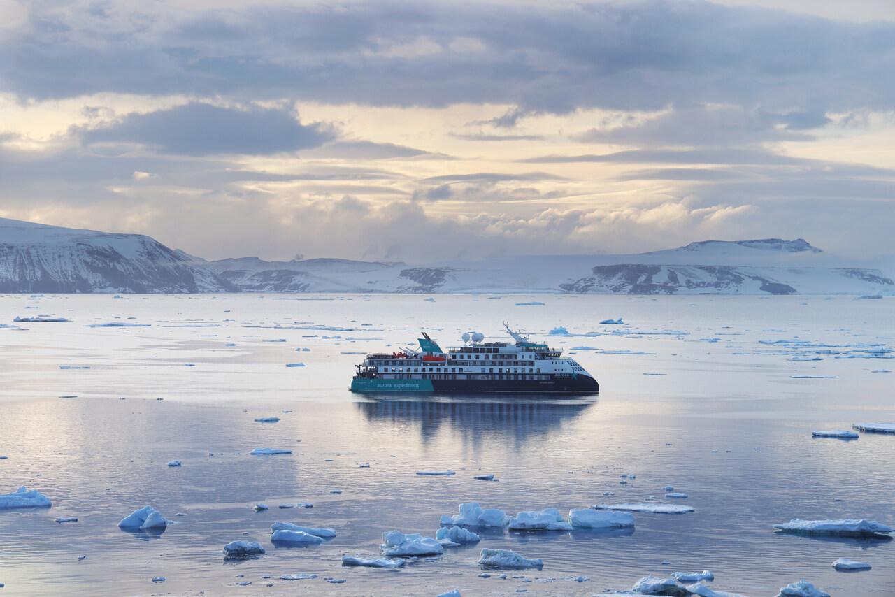 WhatsApp Image 2026-03-27 at 10.07.17 (1)