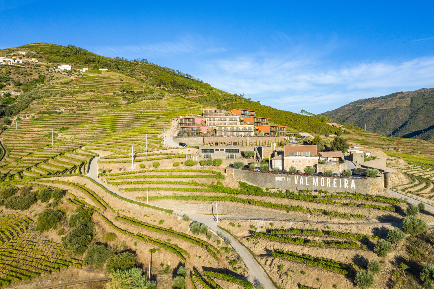 Va_Moreira_VilaGale_Douro_Vineyards (5)