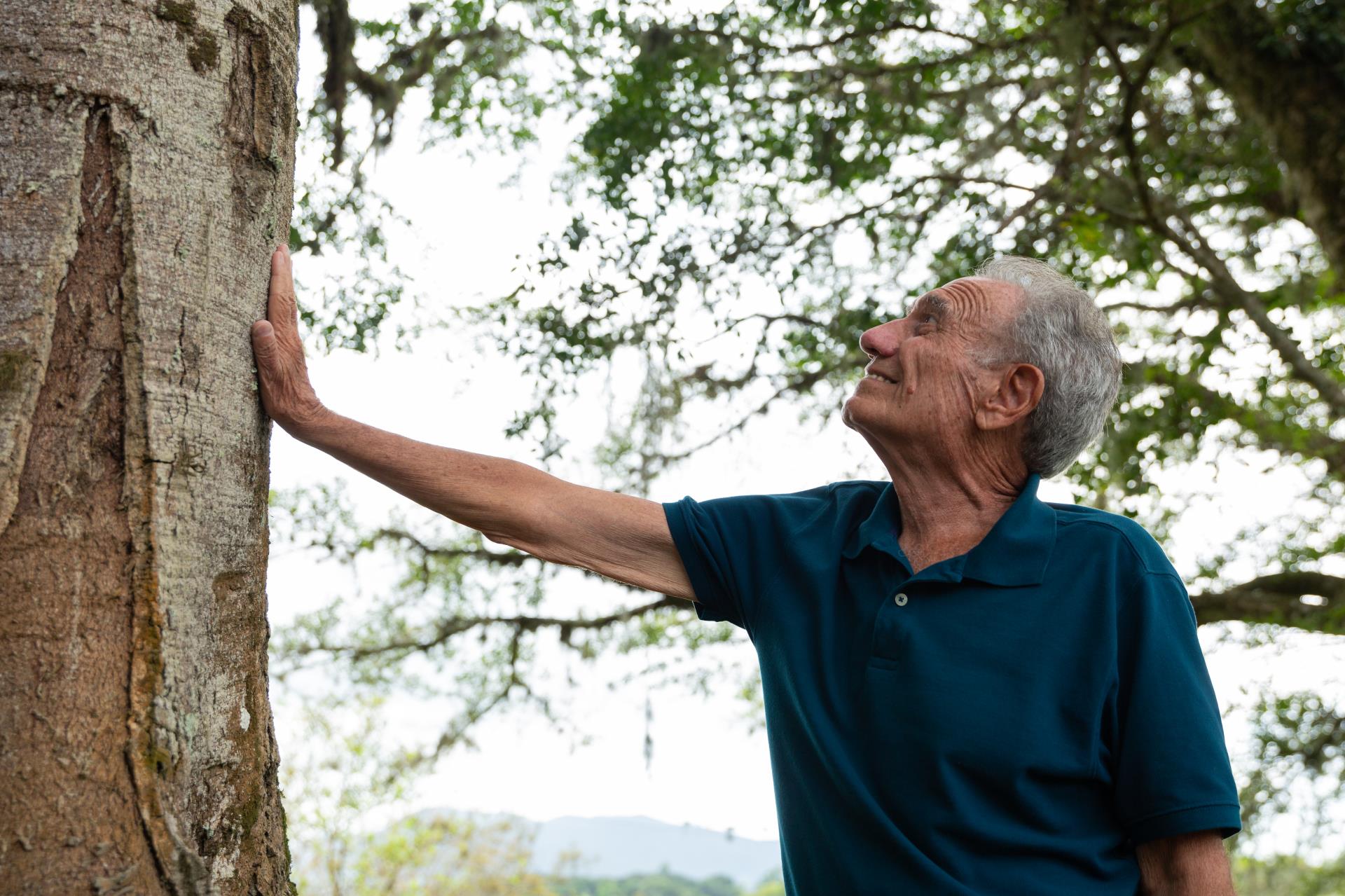 Luiz Carlos Gallotti Bayer