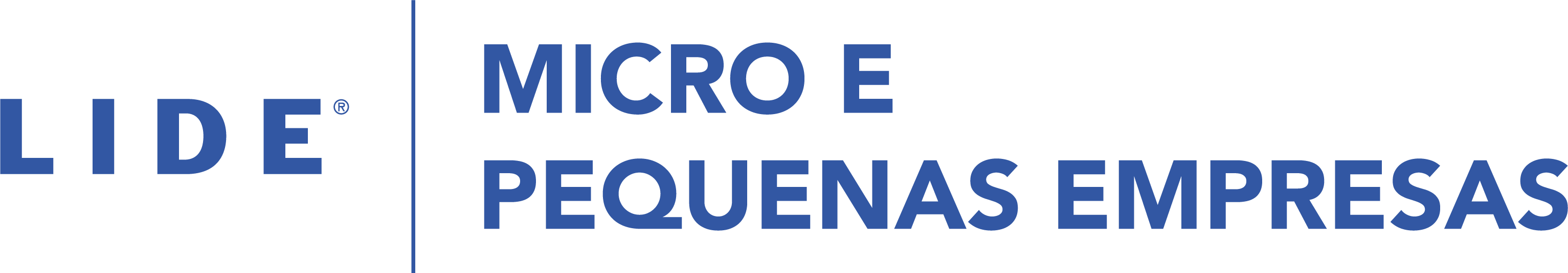 LIDE Micro e Pequenas Empresas - Marco Vinholi