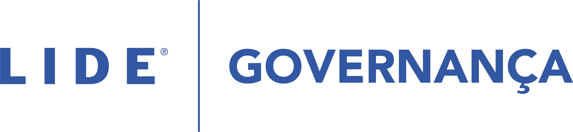 LIDE Governança - Mario Anseloni