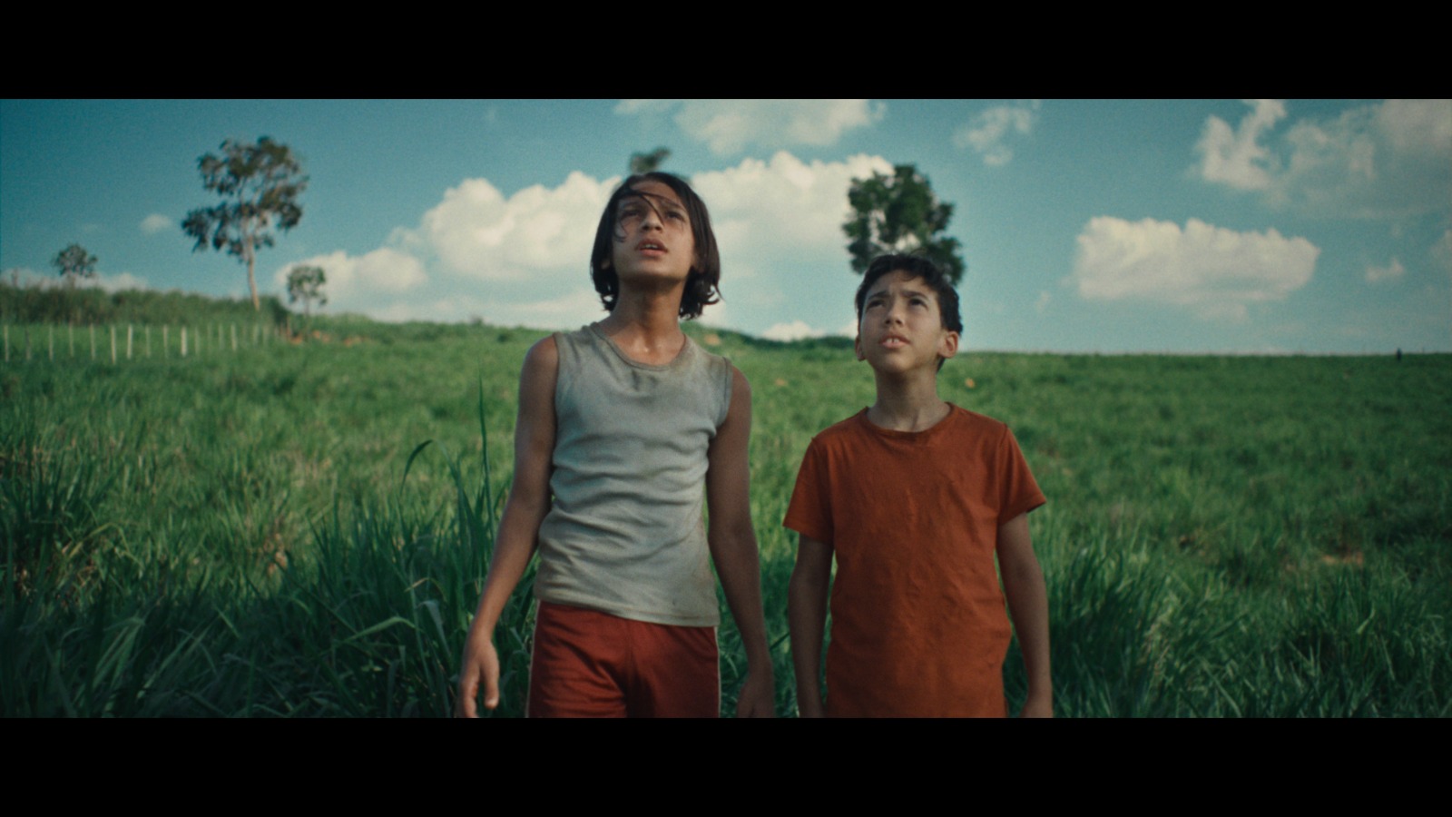 1º Festival de Cinema de Jales será realizado de 25 a 27 de setembro