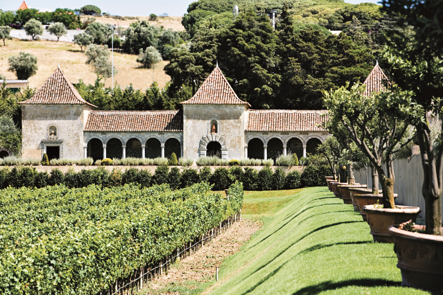 Quinta da Bacalhôa Centenarium é um vinho para os 100 anos