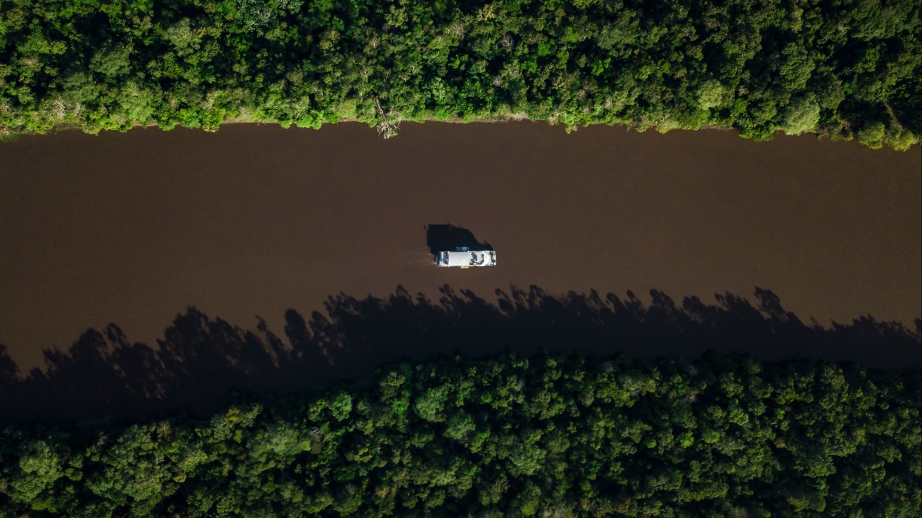 Inovação e educação podem transformar a Amazônia em poucos anos