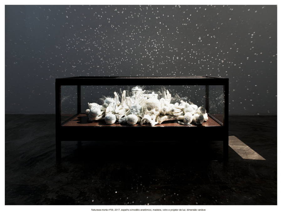 Mutualismos transforma a ESTAR Móveis em plataforma de arte e interdependência na DW! 2026