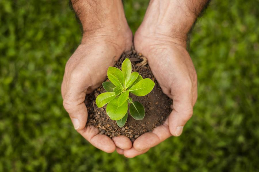 Pilar ambiental é o tema mais lembrado pelos profissionais quando o assunto é a pauta de ESG