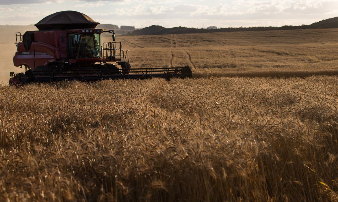 Crédito rural sobe 18% em relação ao último semestre de 2019