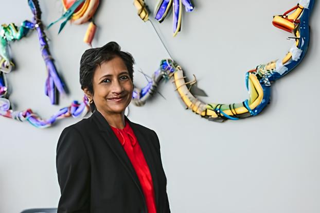 Chitra Stern vem ao Brasil para apresentar novas oportunidades de investimento em Portugal 