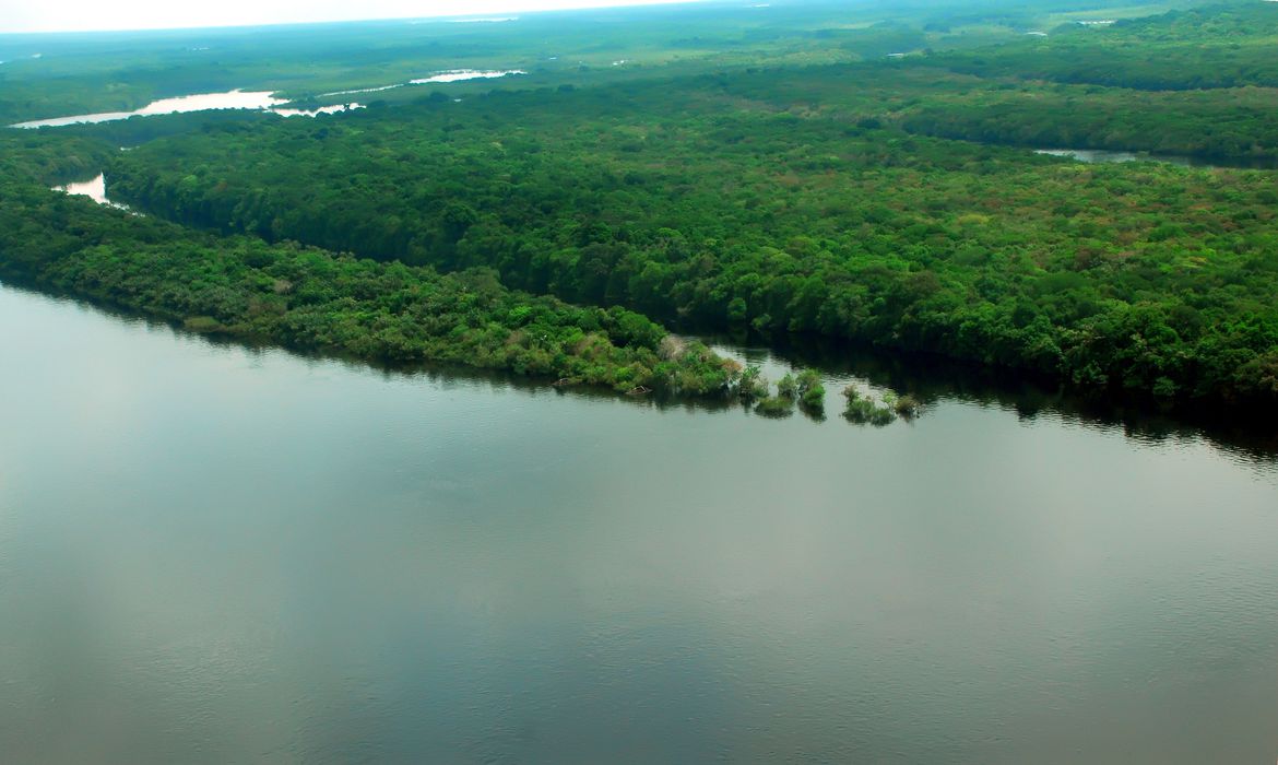 Violência na Amazônia e liberação de armas criam novas pressões à segurança