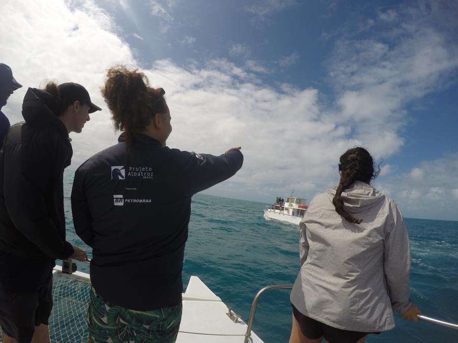 Rede de conservação marinha forma jovens lideranças pelo futuro do oceano 
