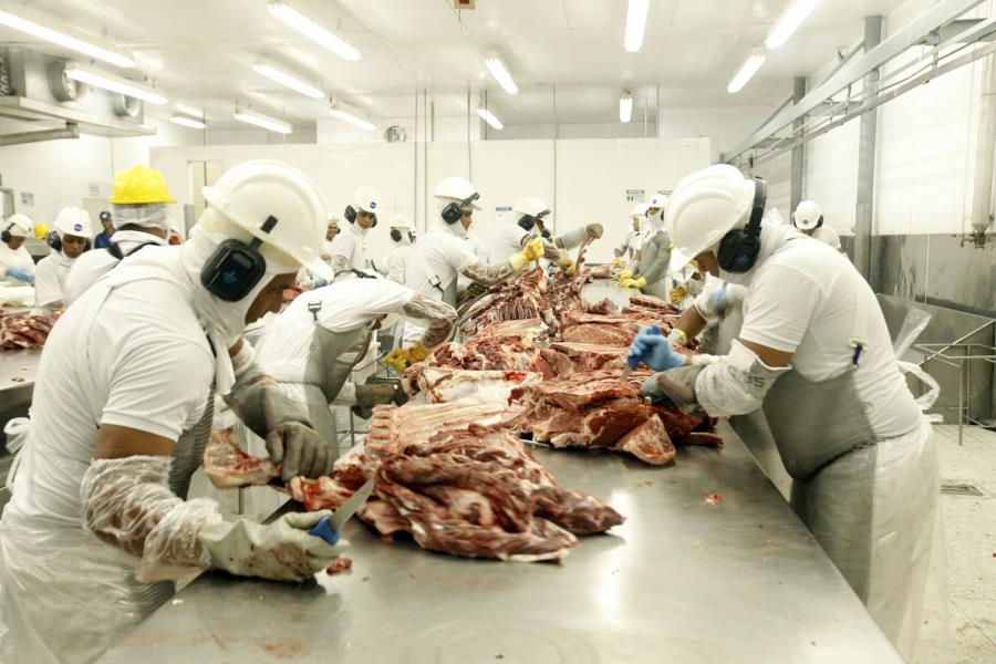 Exportação de carne do Brasil aumenta 12% no ano até agosto