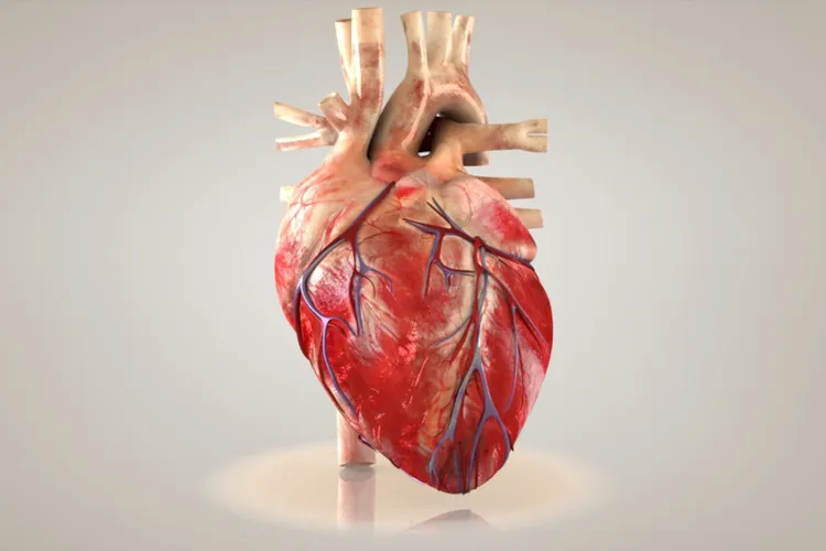 Dia da Conscientização da Cardiopatia Congênita é celebrado dia 12 