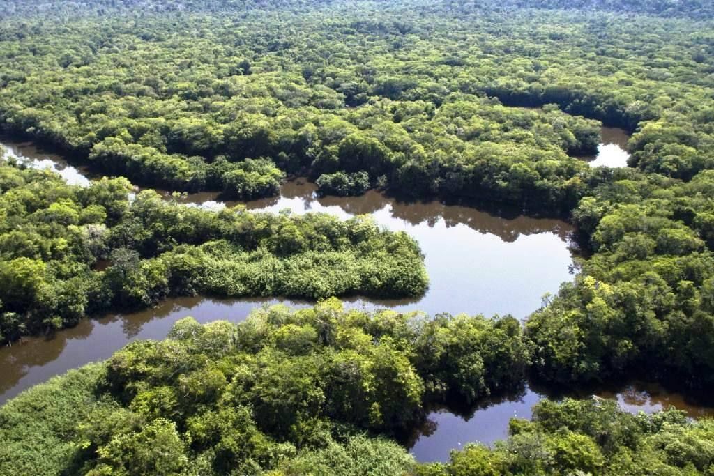Amazônia precisa aproveitar a biodiversidade como forma de desenvolvimento econômico