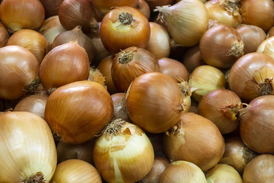 Substância presente na cebola pode ser aliada da saúde cardiovascular