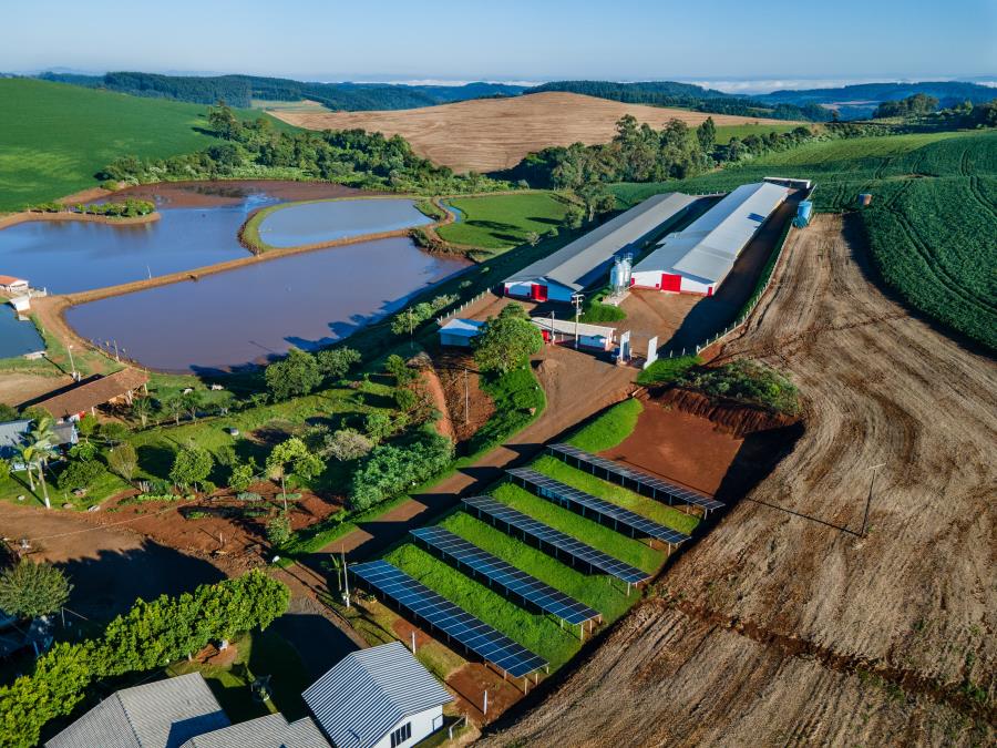 MBRF é Triplo A no CDP e coloca a companhia no topo da agenda ambiental global