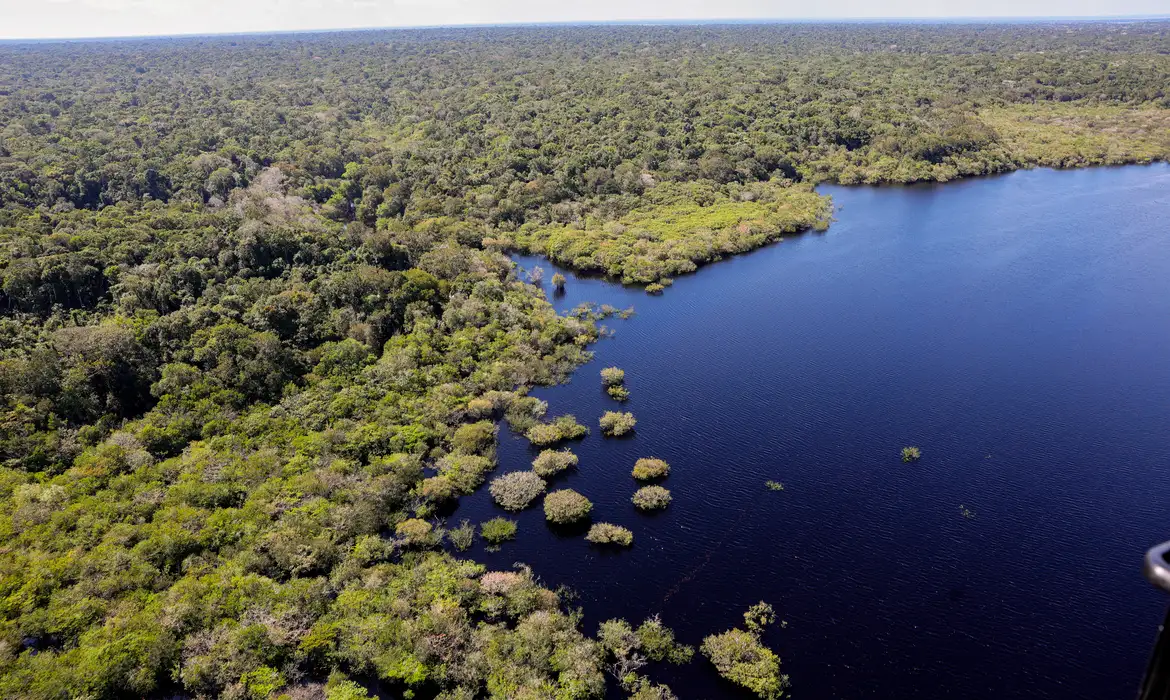 Desmatamento explica 75% da perda de chuvas na Amazônia, diz estudo