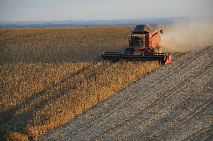 Valor da Produção Agropecuária fecha 2022 em R$ 1,189 trilhão