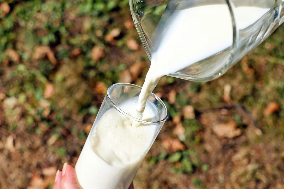 Danone aposta na agricultura regenerativa para produção sustentável de leite
