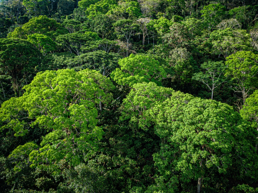 Brasil integra oficialmente o Protocolo de Nagoia