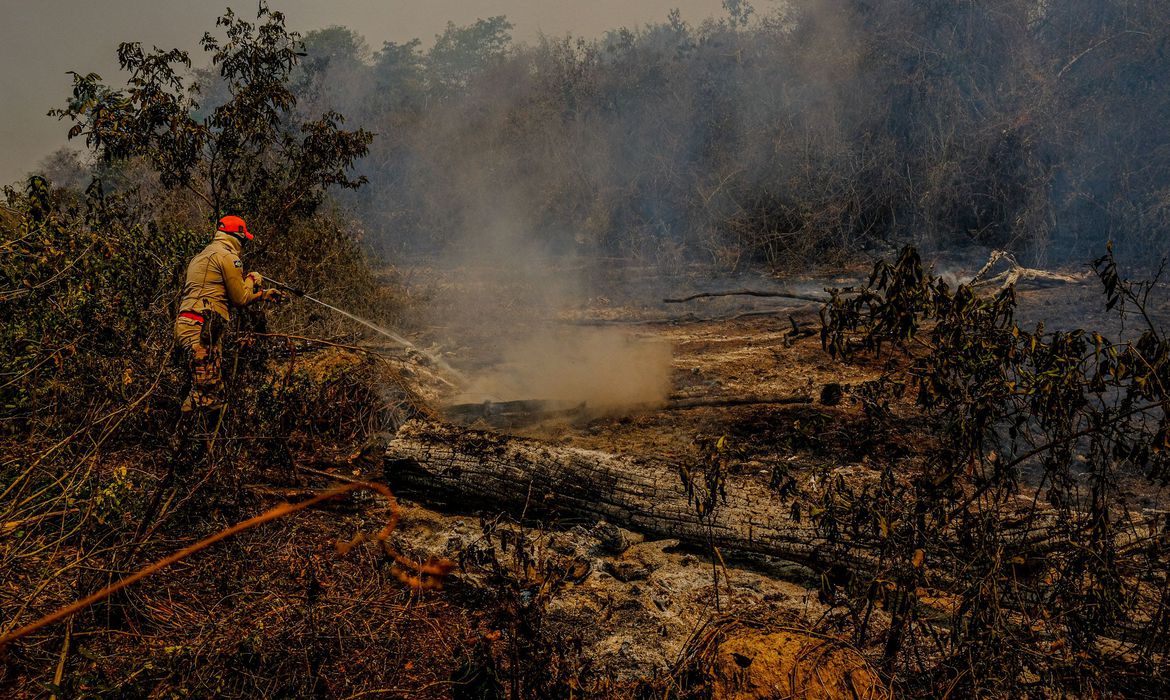 Senadores ouvem especialistas para elaborar Estatuto do Pantanal