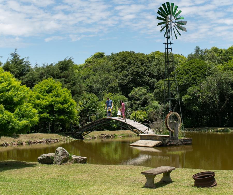 LIDE Paraná promove evento de experiência para apresentar seu plano de retomada