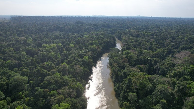 Ambipar anuncia parceria estratégica com BWP Florestal em projeto de regeneração ambiental no Rio de Janeiro