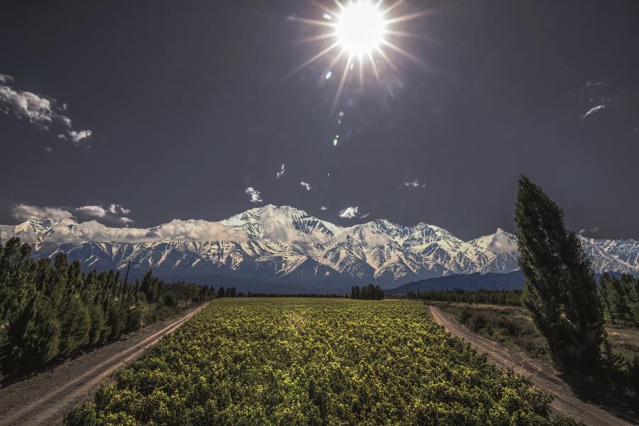 Conheça os vinhos que são verdadeiras joias do sul