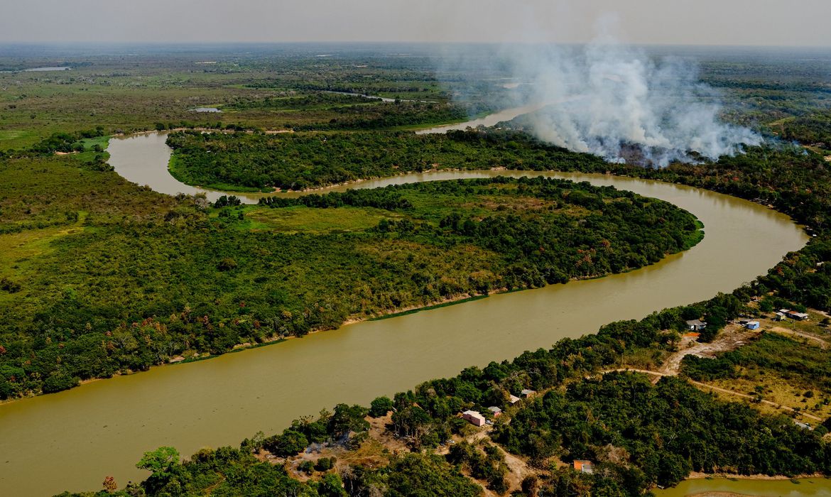 Empresários se reúnem na tentativa de desenvolver economicamente a região do Pantanal em prol da natureza 